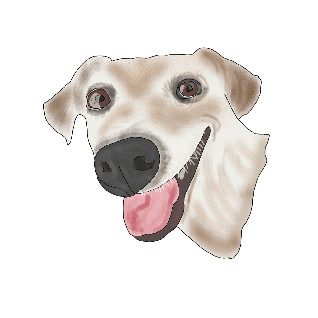 A drawing of a light-colored dog with floppy ears and a big smile.