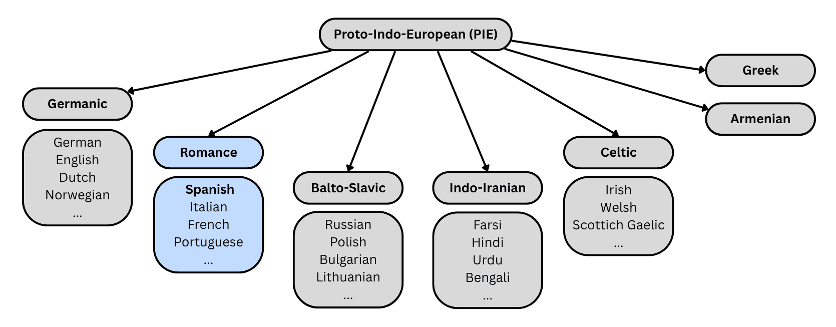 A chart of the Proto-Indo-European language family. A box at the top reads "Proto-Indo-European" and arrows go out to various language groups. The highlighted group is called "Romance" and contains four example languages: "Spanish," "Italian," "French," and "Portuguese." The other language groups are in gray. These are "Germanic" ("German", "English," "Dutch," "Norwegian"), "Balto-Slavic" ("Russian," "Polish," "Bulgarian," "Lithuanian"), "Indo-Iranian" ("Farsi," "Hindi," "Urdu," "Bengali"), and "Celtic" ("Irish," "Welsh," "Scottish Gaelic"), as well as two groups containing only one language each, "Armenian" and "Greek."