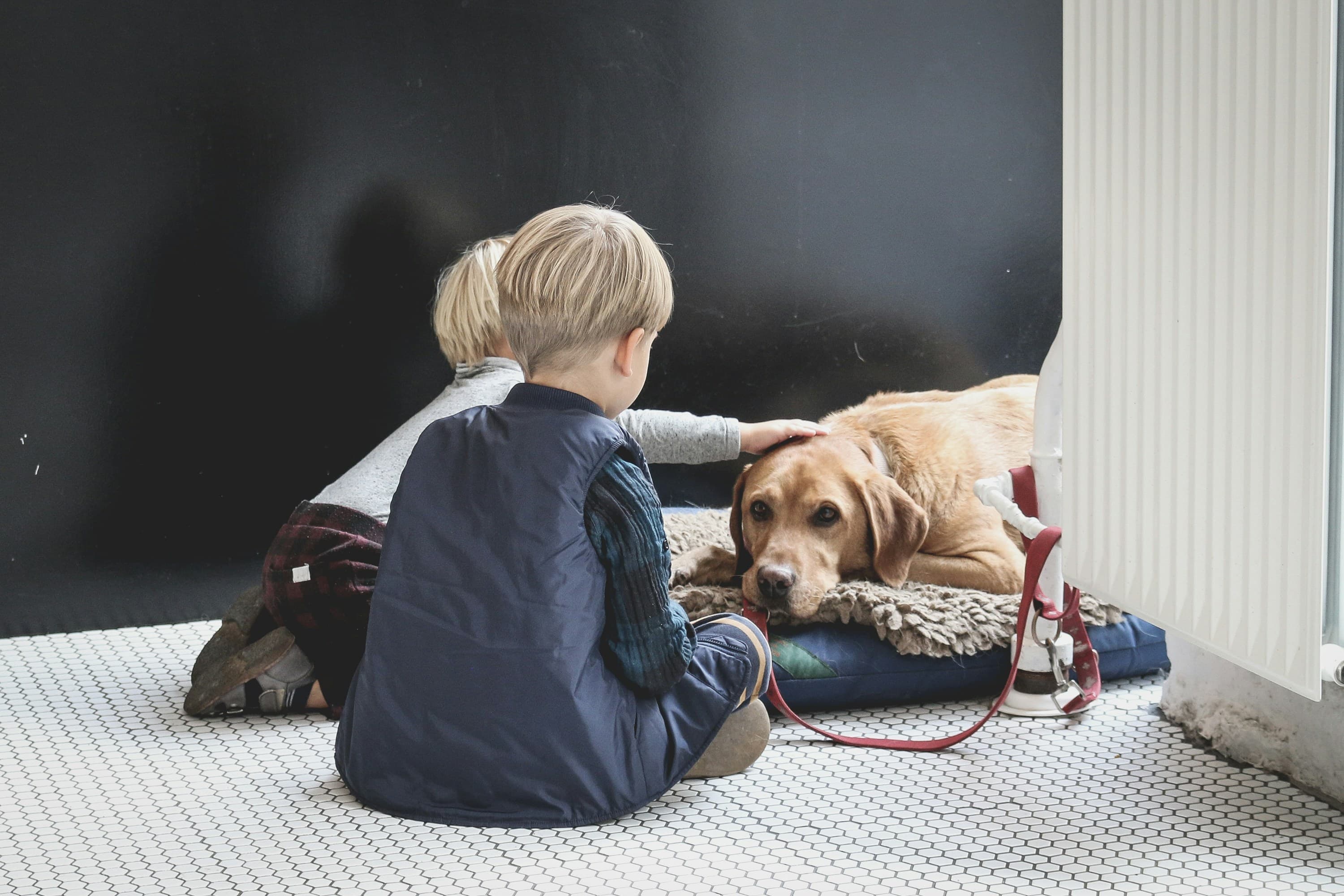 A photo of two blond children sitting on a tiled floor with a calm tan Labrador. One of them is reaching out to pet the dog.