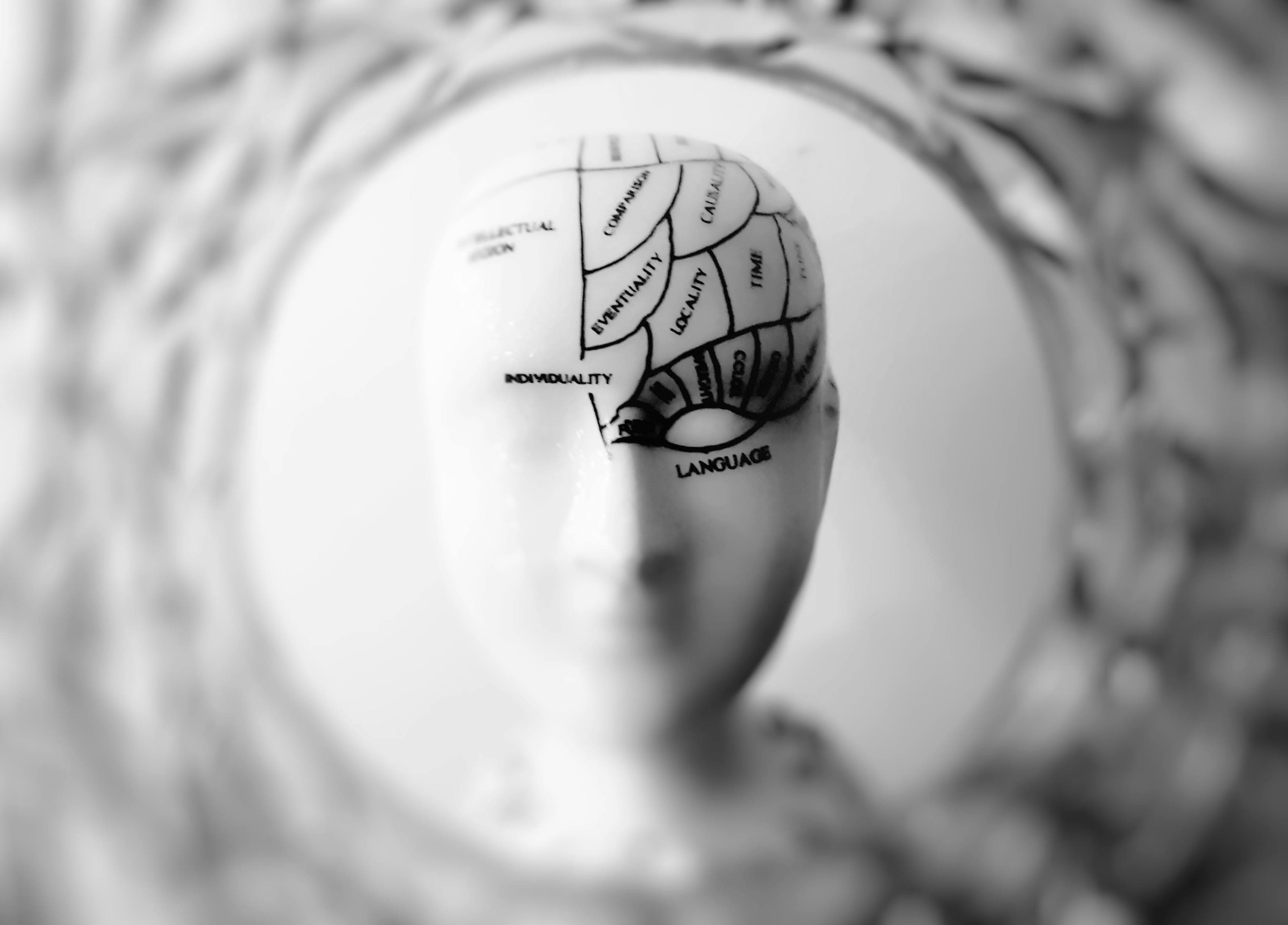 An abstract graphic of a model head. Different regions of the brain have been drawn in pen on the left side of the model's head.