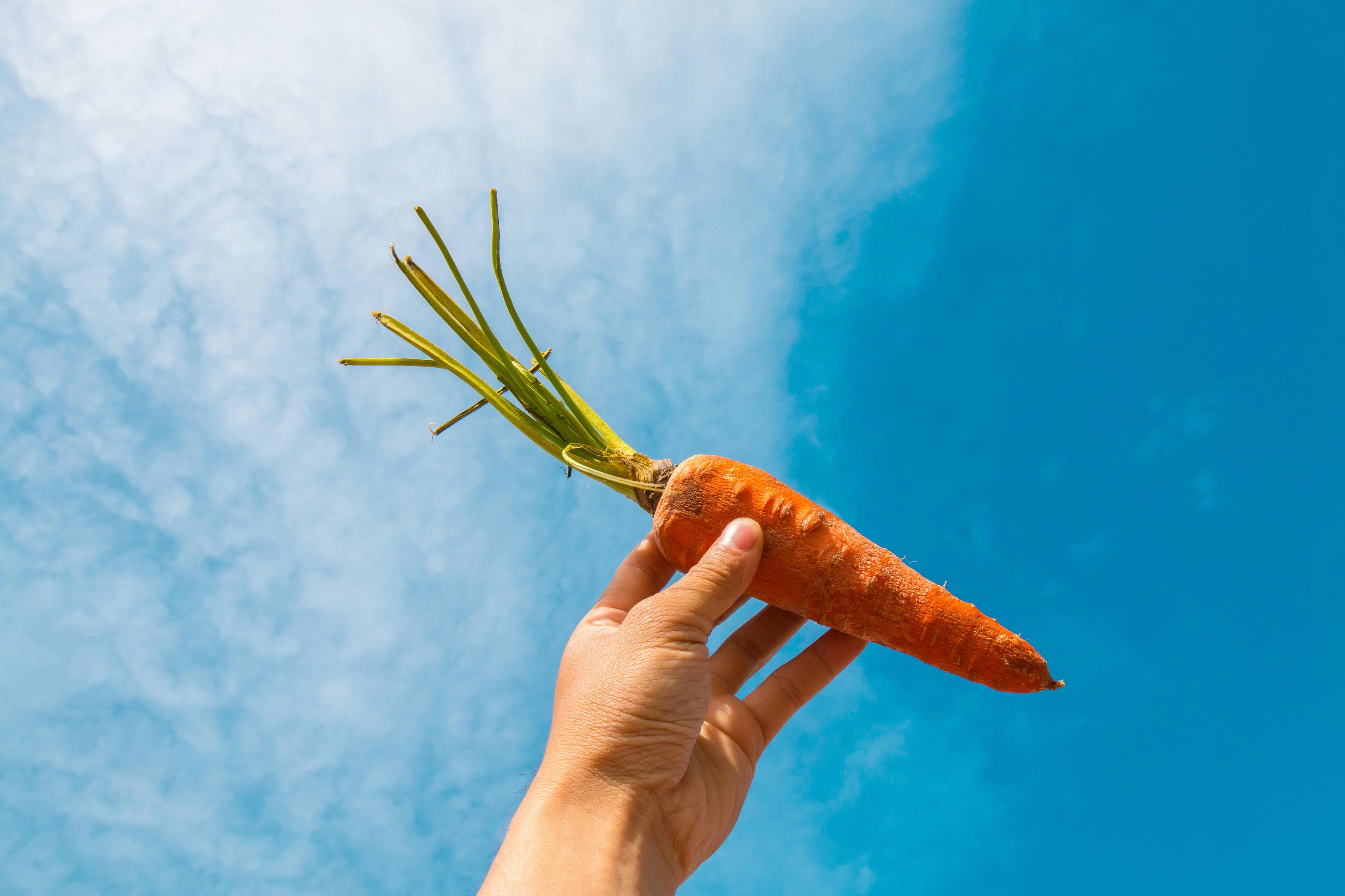A hand holds up a carrot against a blue sky.