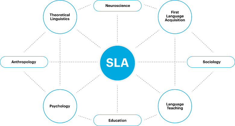 Graph that shows that SLA is connected to. SLA is related to neuroscience, first language acquisition, sociology, language teaching, education, psychology, anthropology, theoretical linguistics