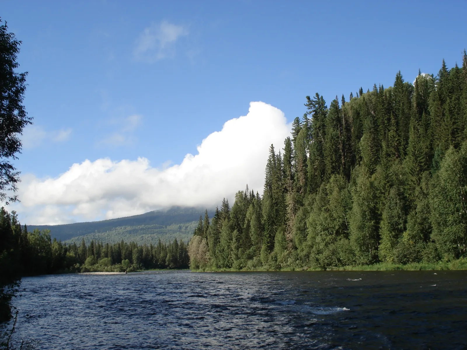 A wide river running through Siberian taiga forest under an open sky