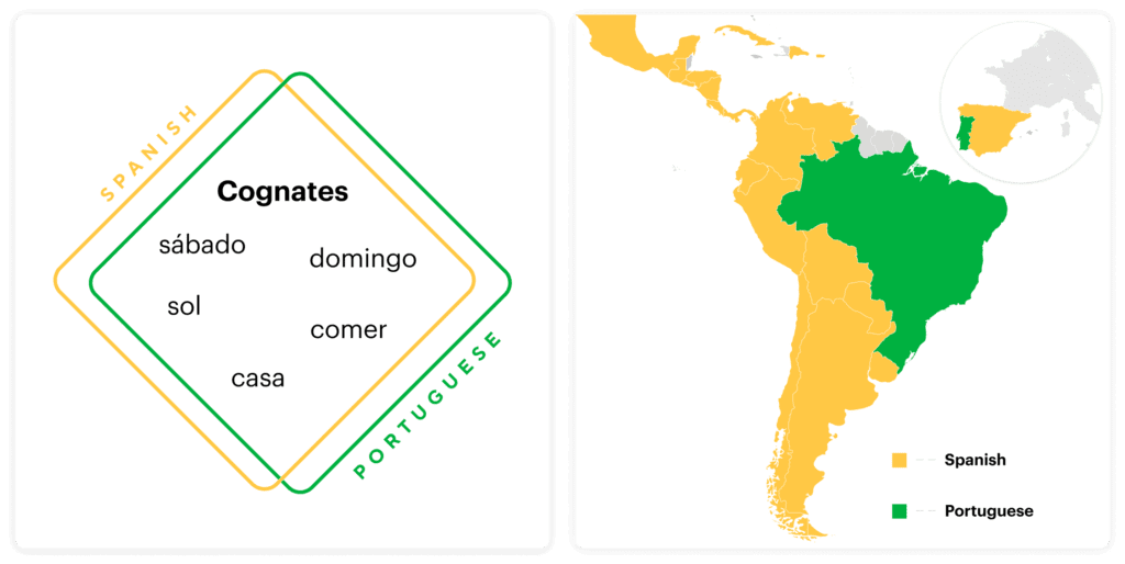Latin America Cognates