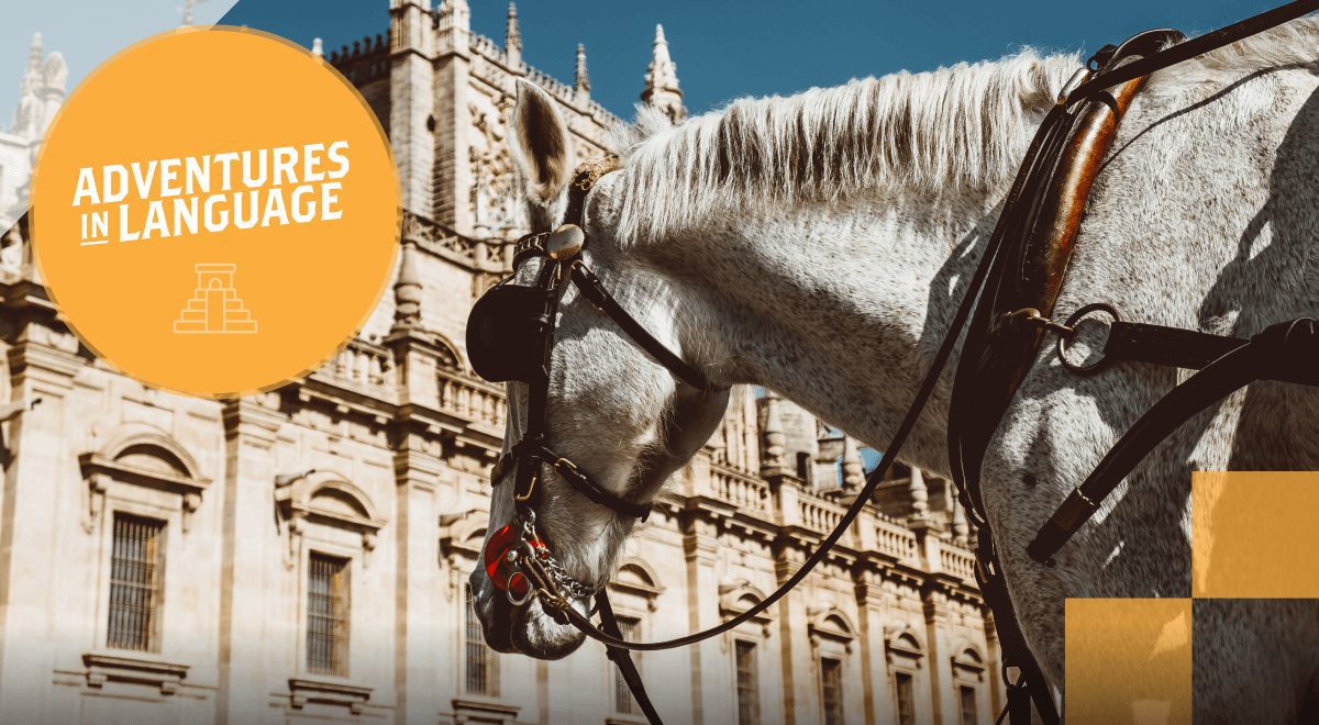 Picture of a horse in front of a historical white building.