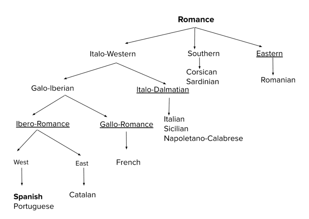 Use of the Catalan language tree.